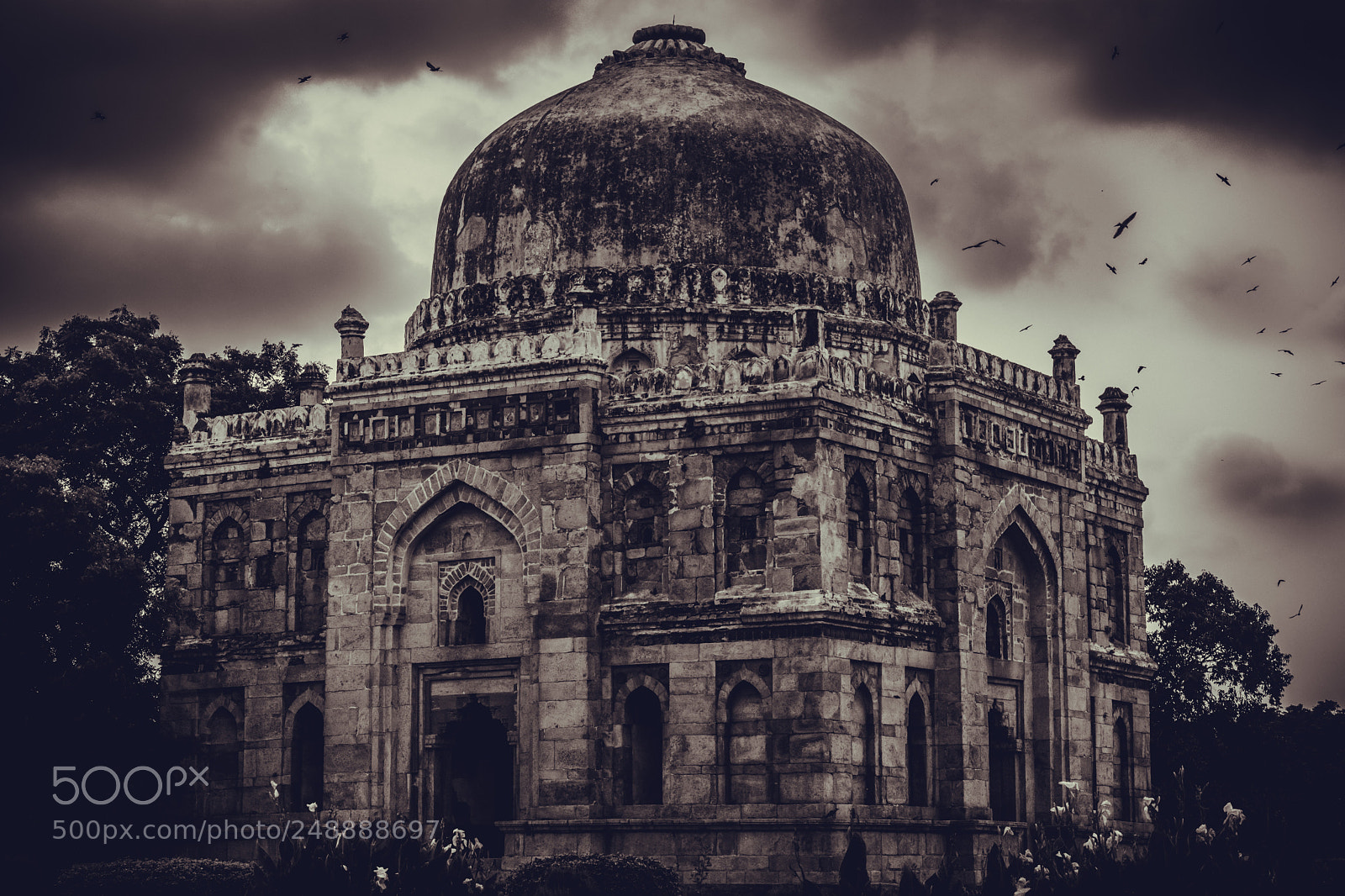 Nikon D5200 sample photo. Lodhi garden photography