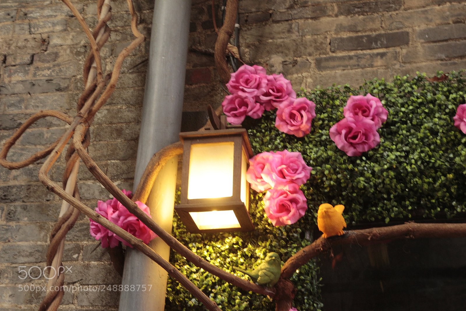 Canon EOS 700D (EOS Rebel T5i / EOS Kiss X7i) sample photo. Untitled photography