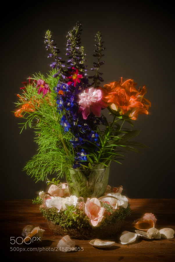 Nikon D200 sample photo. *** photography