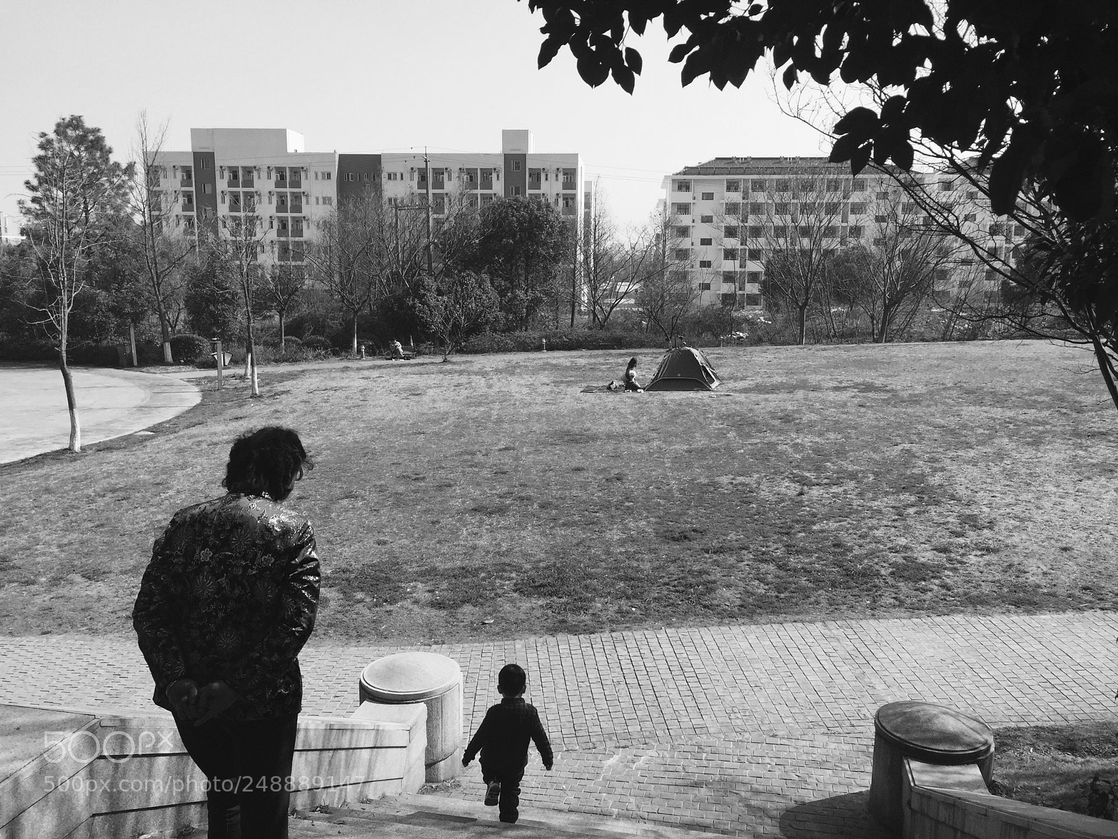 Apple iPhone 6 sample photo. Untitled photography