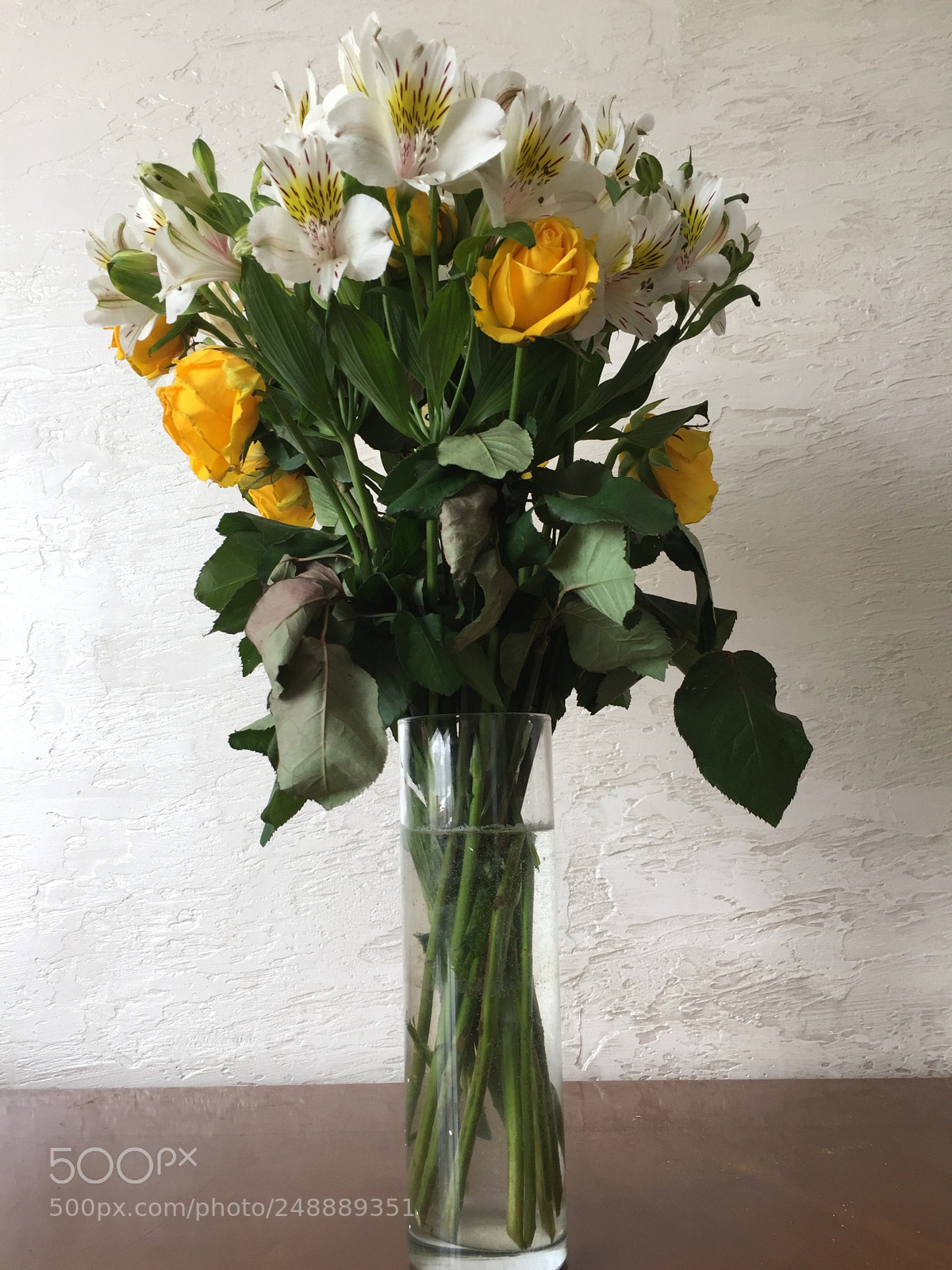 Apple iPhone 6 sample photo. Bouquet of 8th of photography