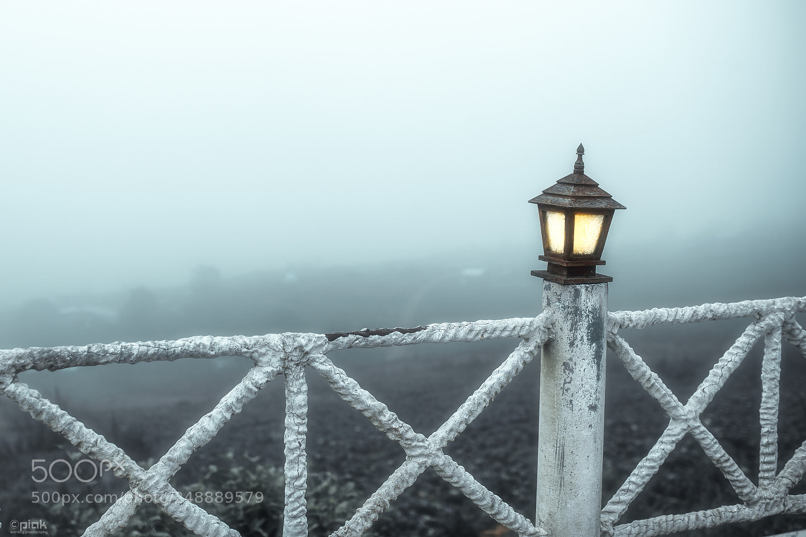 Canon EOS-1D X Mark II sample photo. Mist mist photography