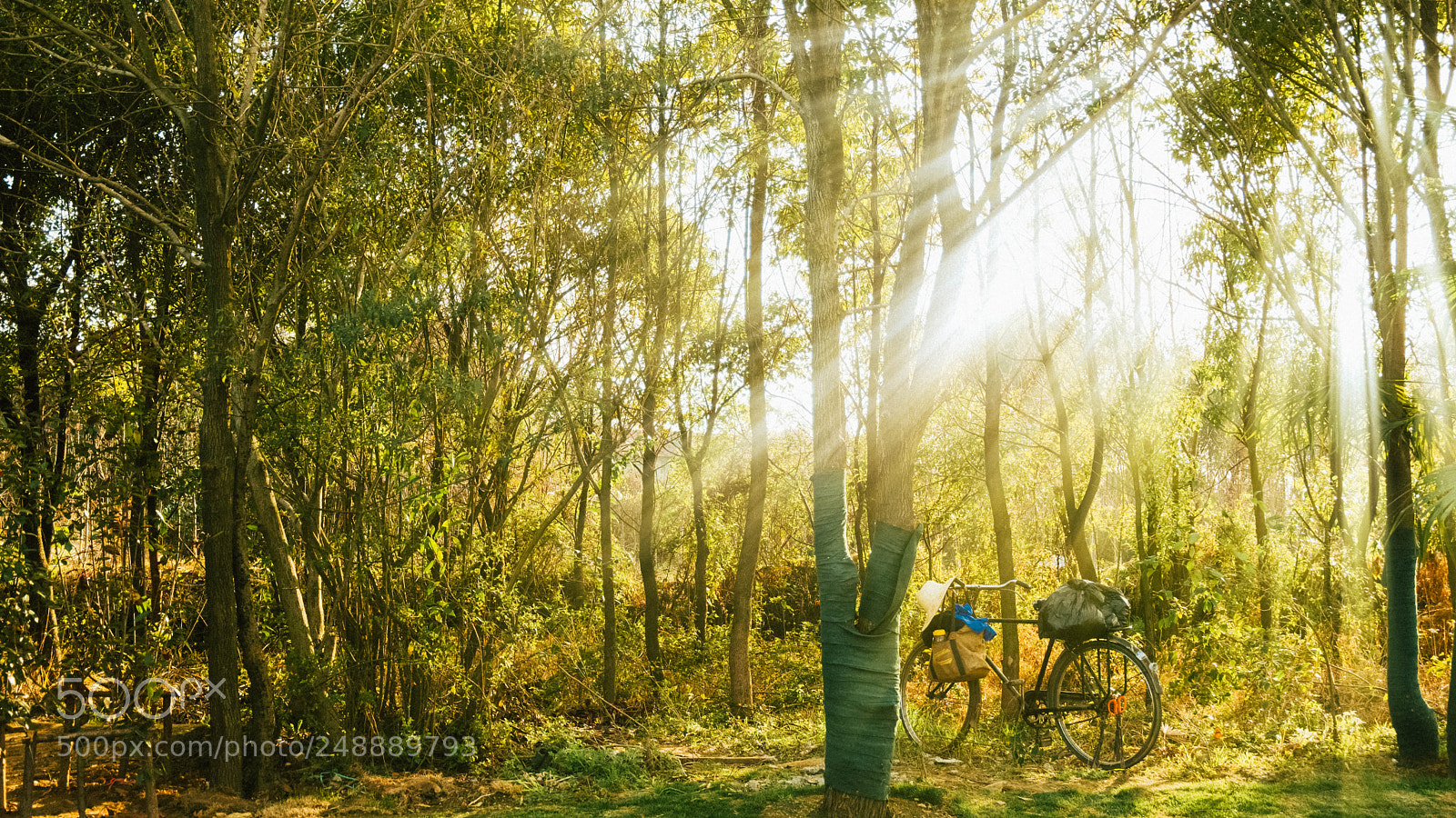 Fujifilm X-T20 sample photo. Wanguo park photography