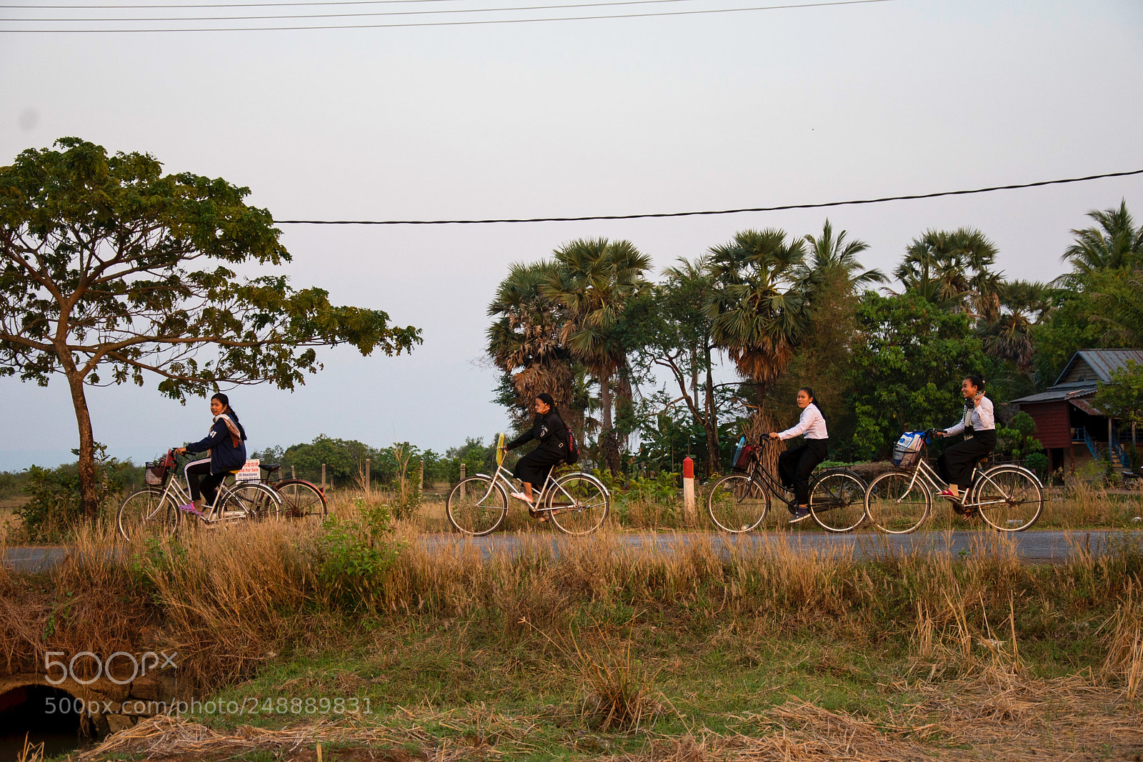 Nikon D610 sample photo. Untitled photography