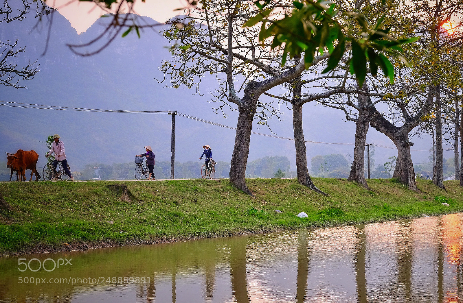 Fujifilm X-T20 sample photo. Untitled photography