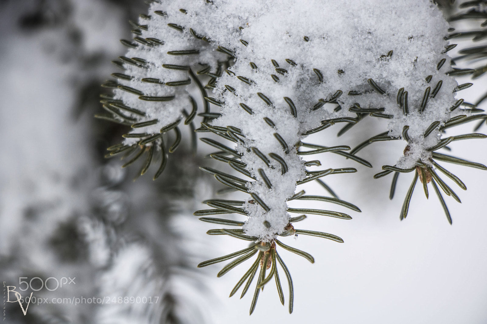 Canon EOS 760D (EOS Rebel T6s / EOS 8000D) sample photo. Winter mood... photography