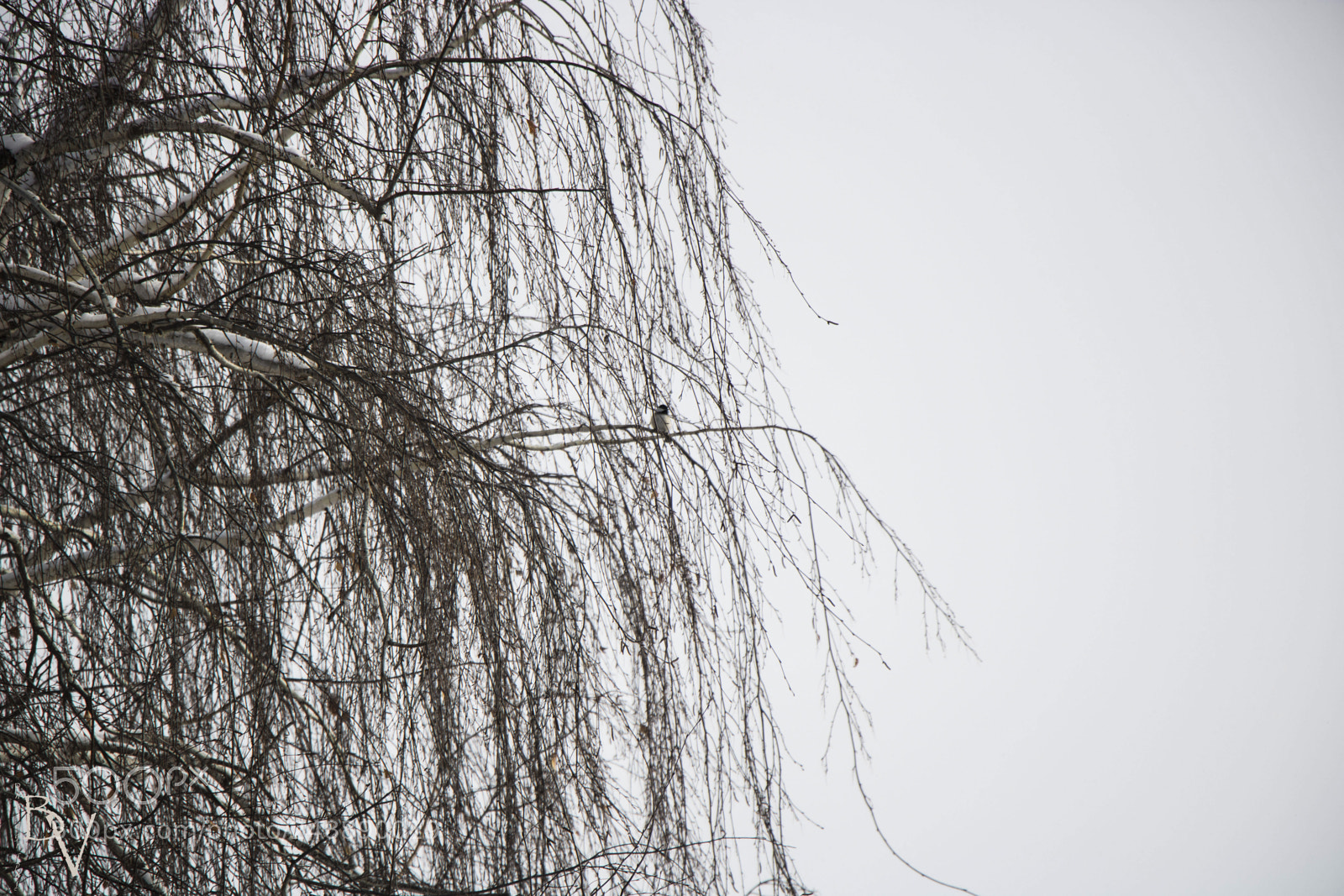 Canon EOS 760D (EOS Rebel T6s / EOS 8000D) sample photo. Loneliness... photography