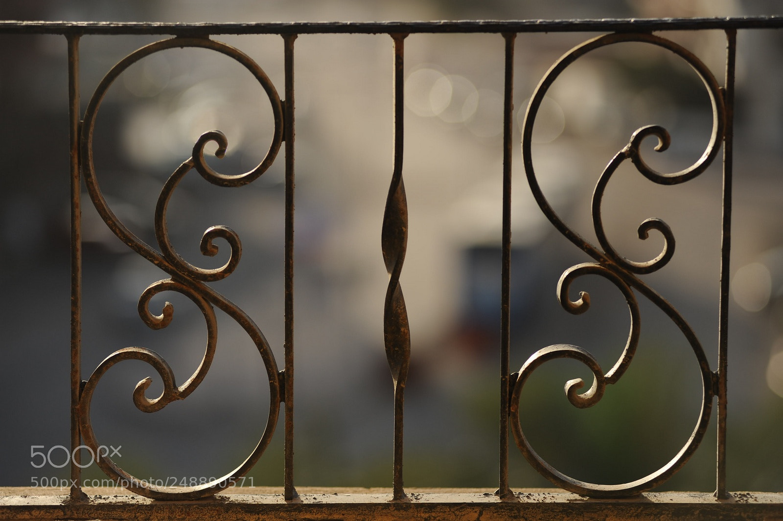 Nikon D700 sample photo. S photography