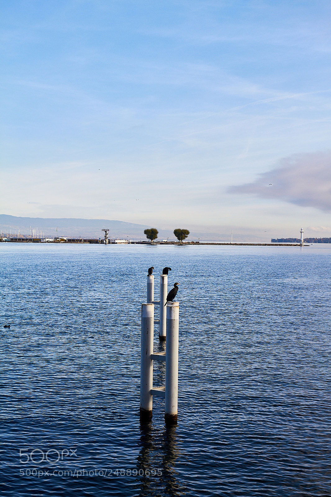 Canon EOS 7D sample photo. Lake genève iii photography
