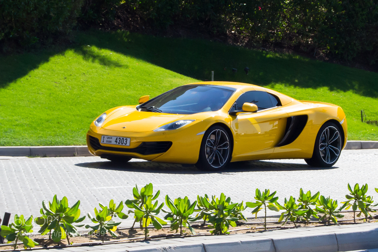 Nikon D3100 sample photo. The sports car in photography
