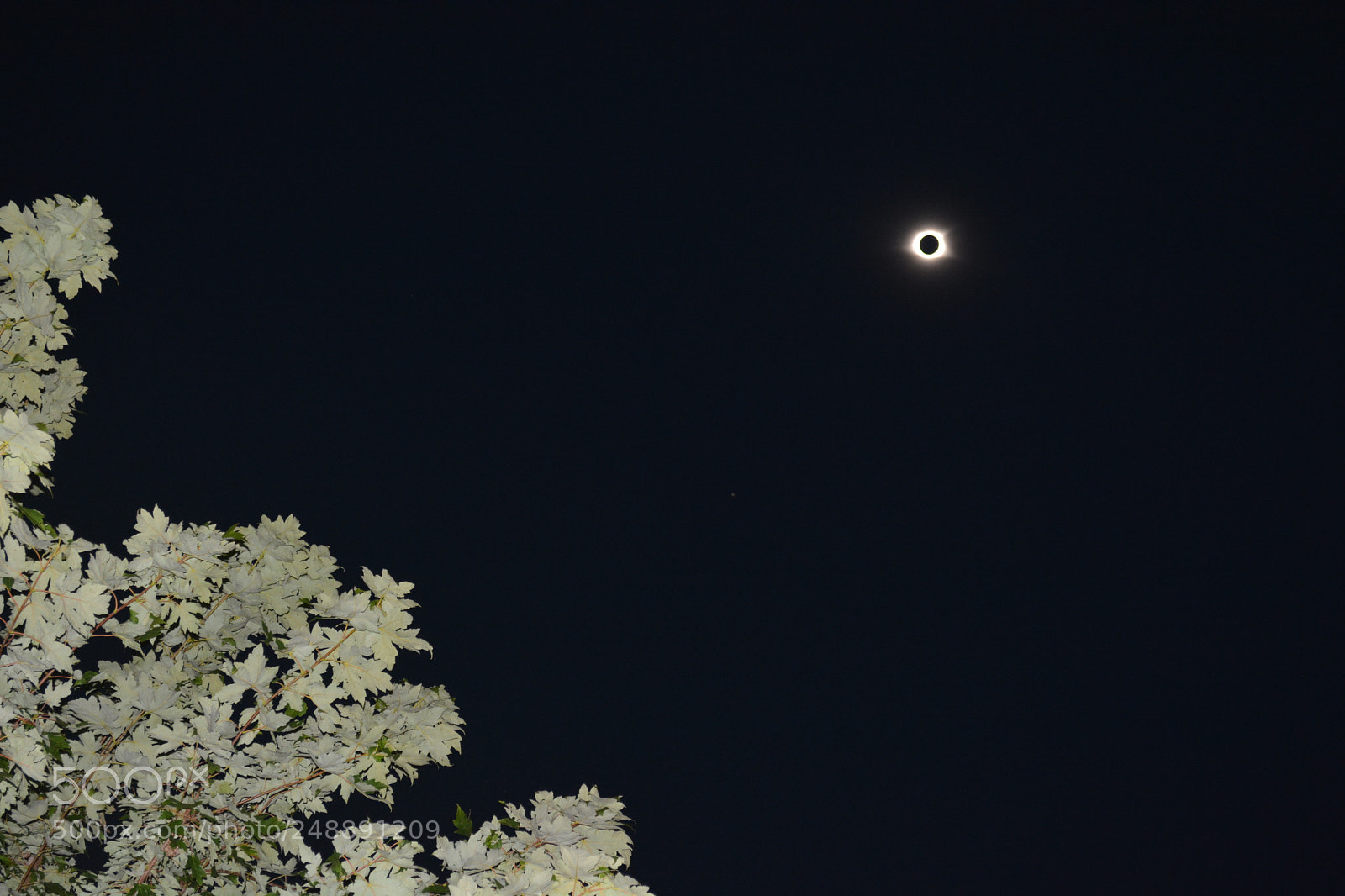 Nikon D5200 sample photo. Eclipse photography