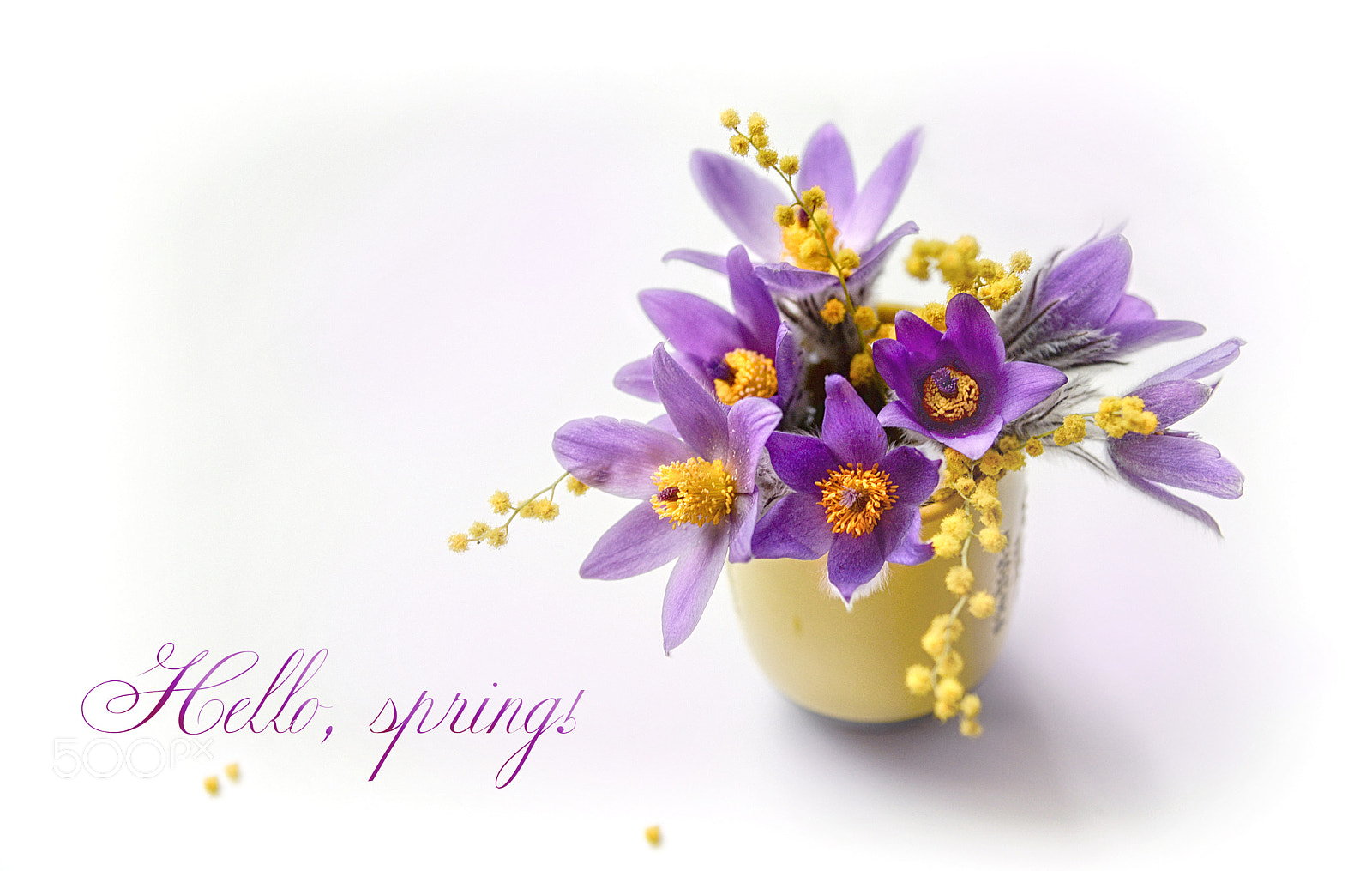 Nikon D610 sample photo. Hello, spring! photography