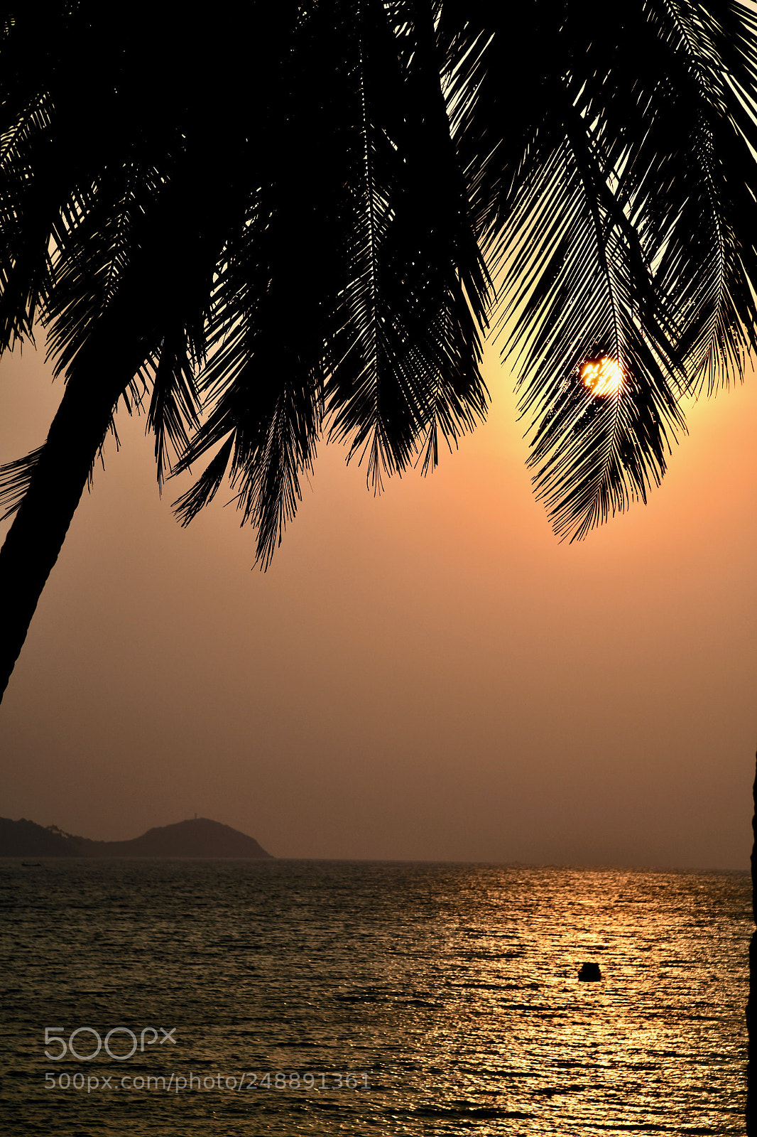 Nikon D850 sample photo. Golden hour photography