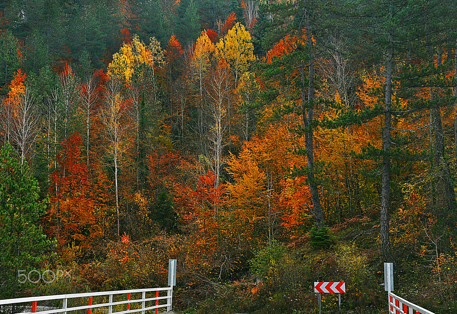 Nikon D5000 sample photo. ** photography