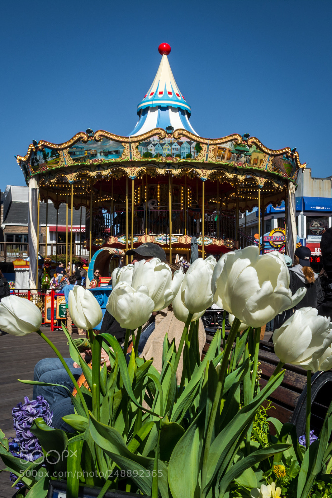 Nikon D5200 sample photo. Pier39, san francisco photography