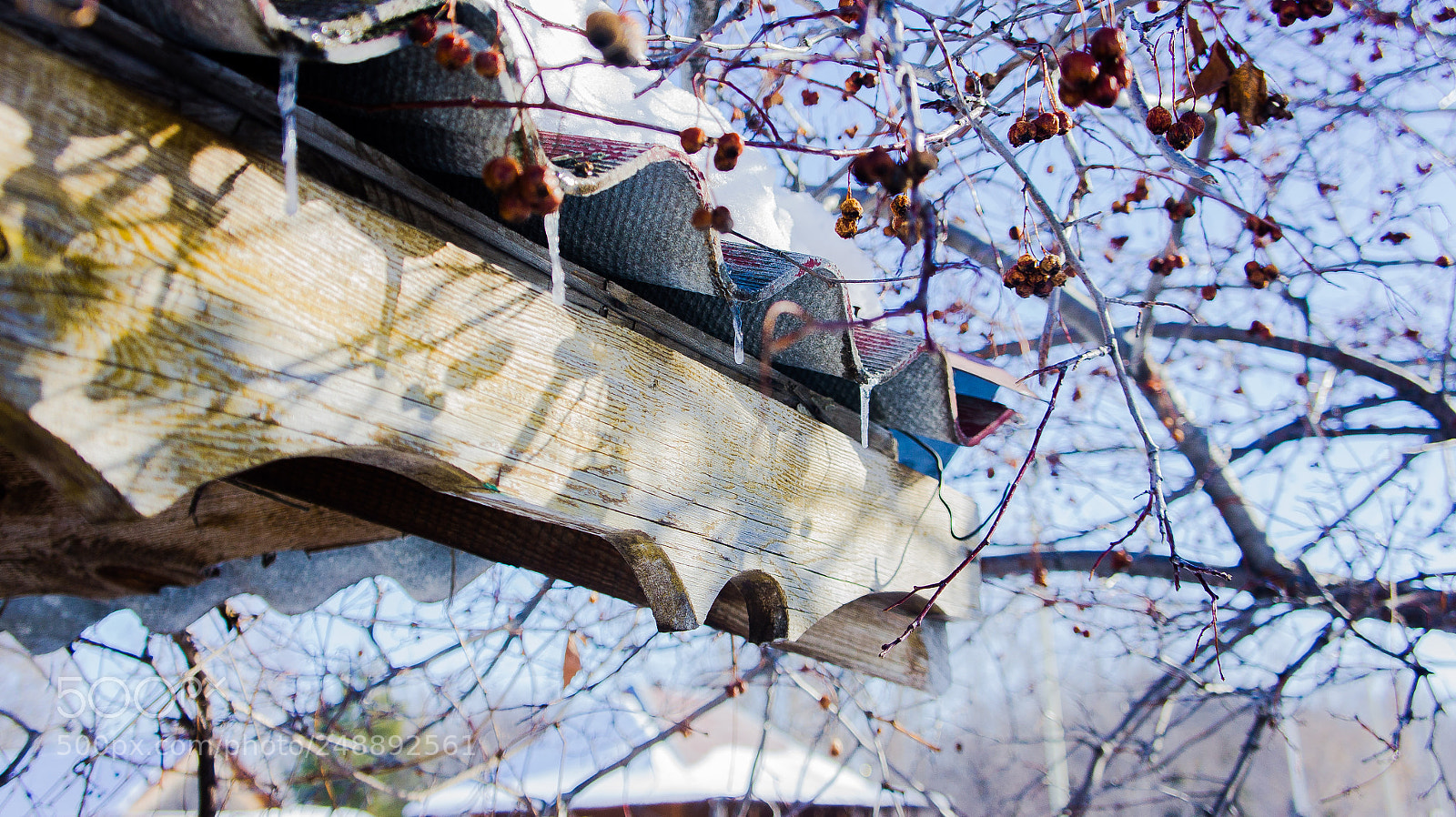 Sony Alpha NEX-5 sample photo. Crunch of melting snow photography