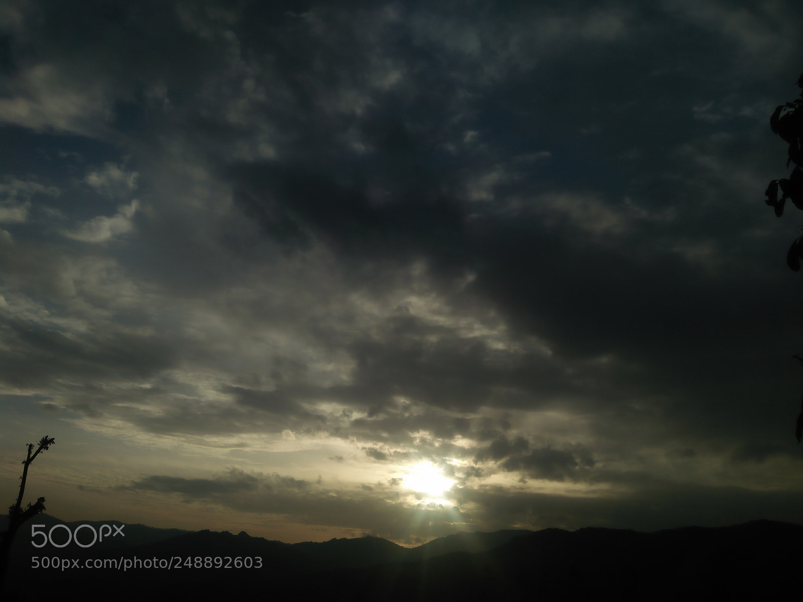 OPPO A37fw-International sample photo. Untitled photography