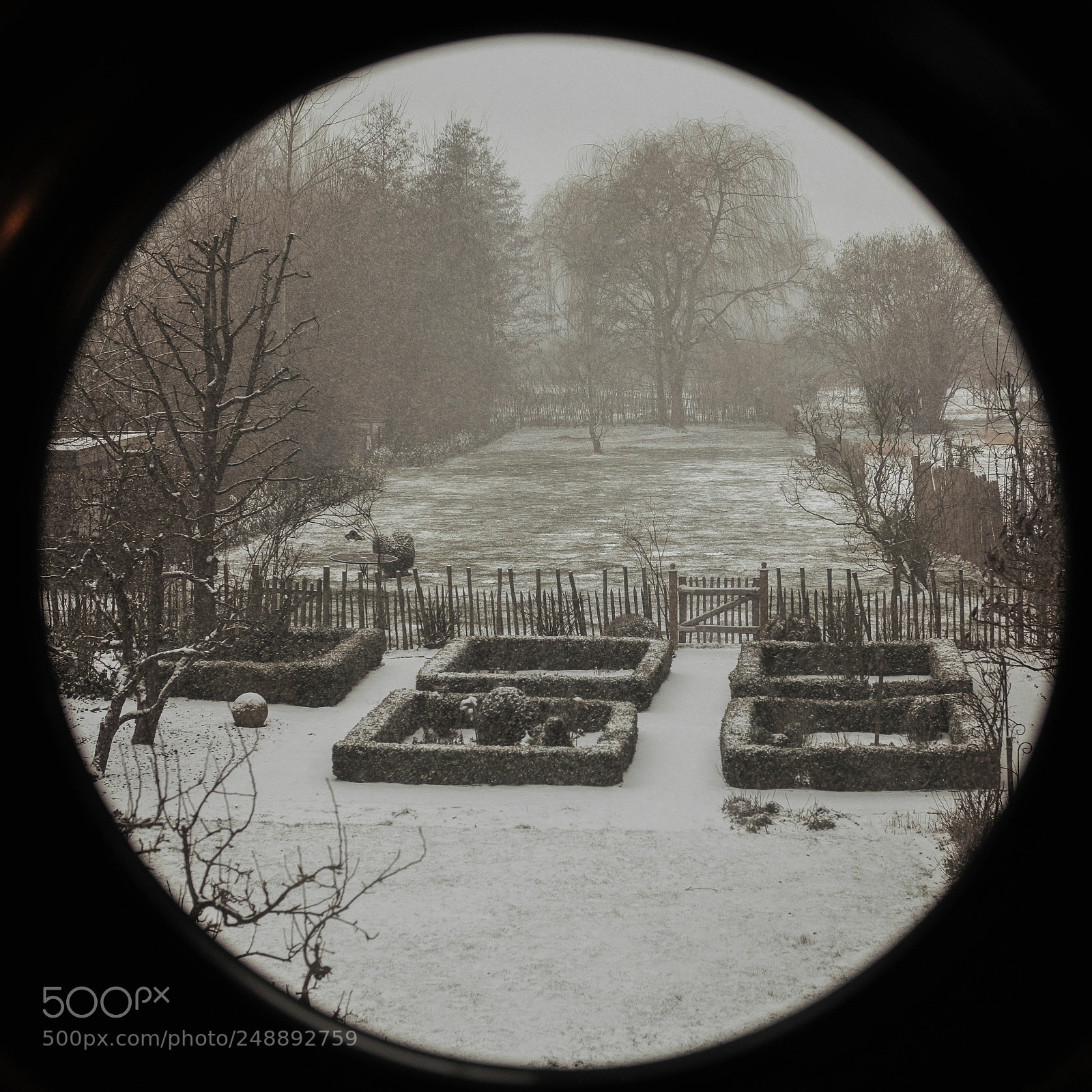Fujifilm X-T2 sample photo. Circular winter photography