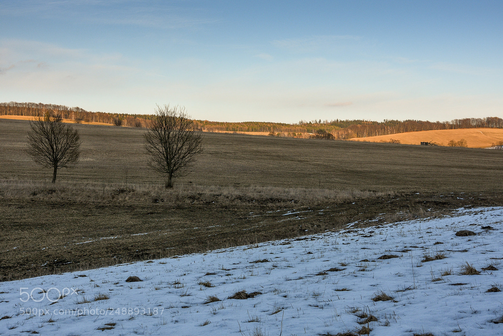 Nikon D7200 sample photo. From winter to spring photography