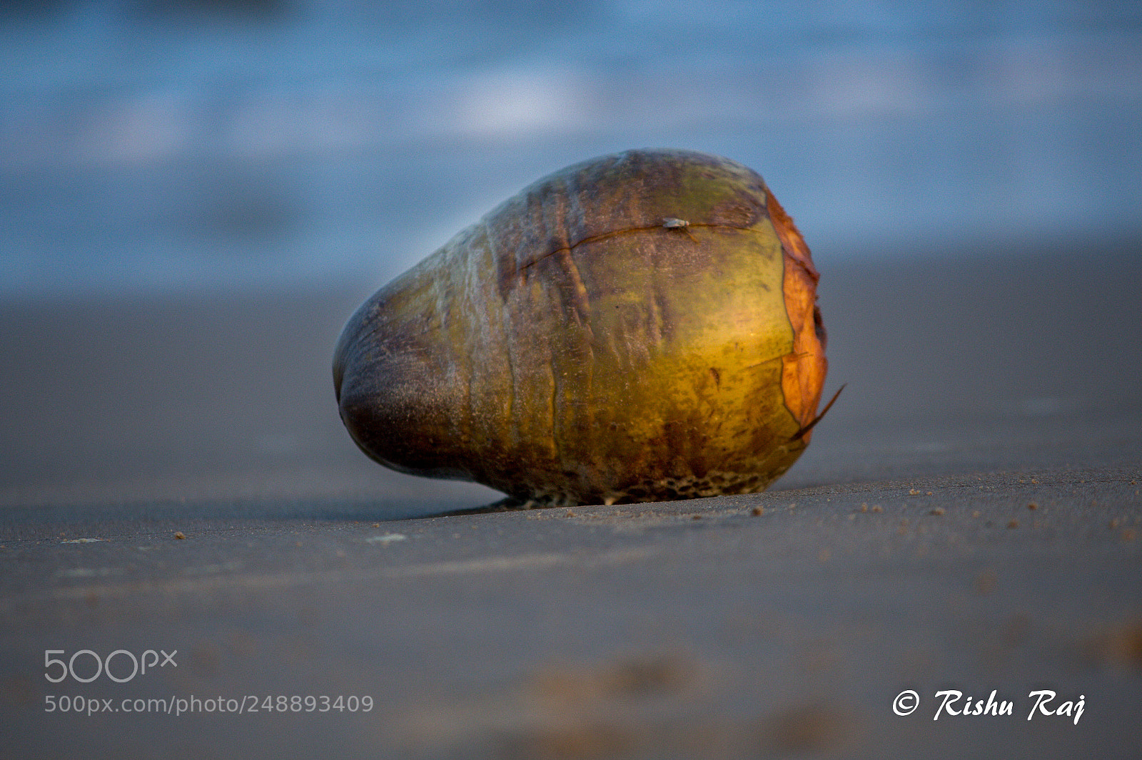 Canon EOS 700D (EOS Rebel T5i / EOS Kiss X7i) sample photo. Edit edit photography