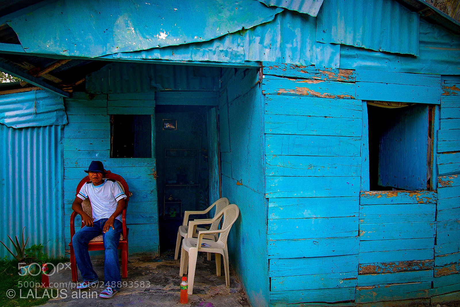 Nikon D80 sample photo. Untitled photography