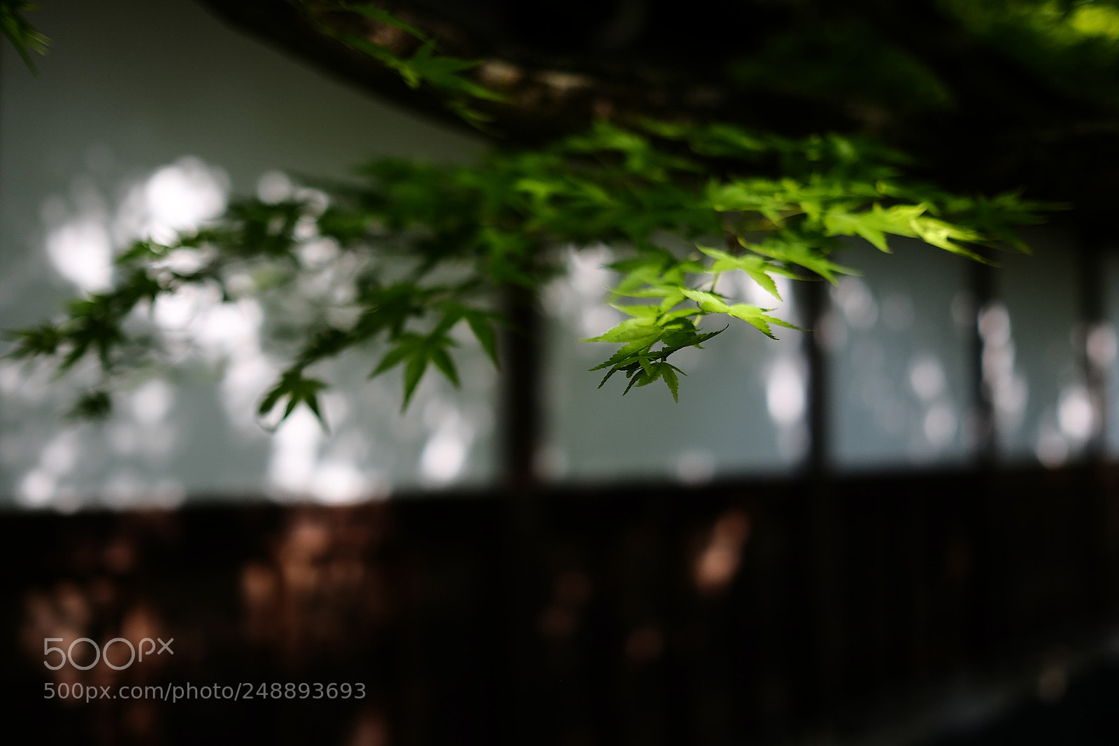 Fujifilm X-T1 sample photo. Untitled photography