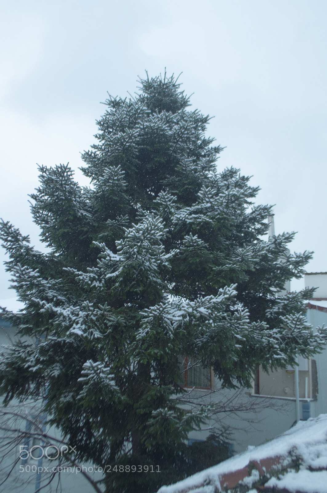 Nikon D5000 sample photo. After winter photography