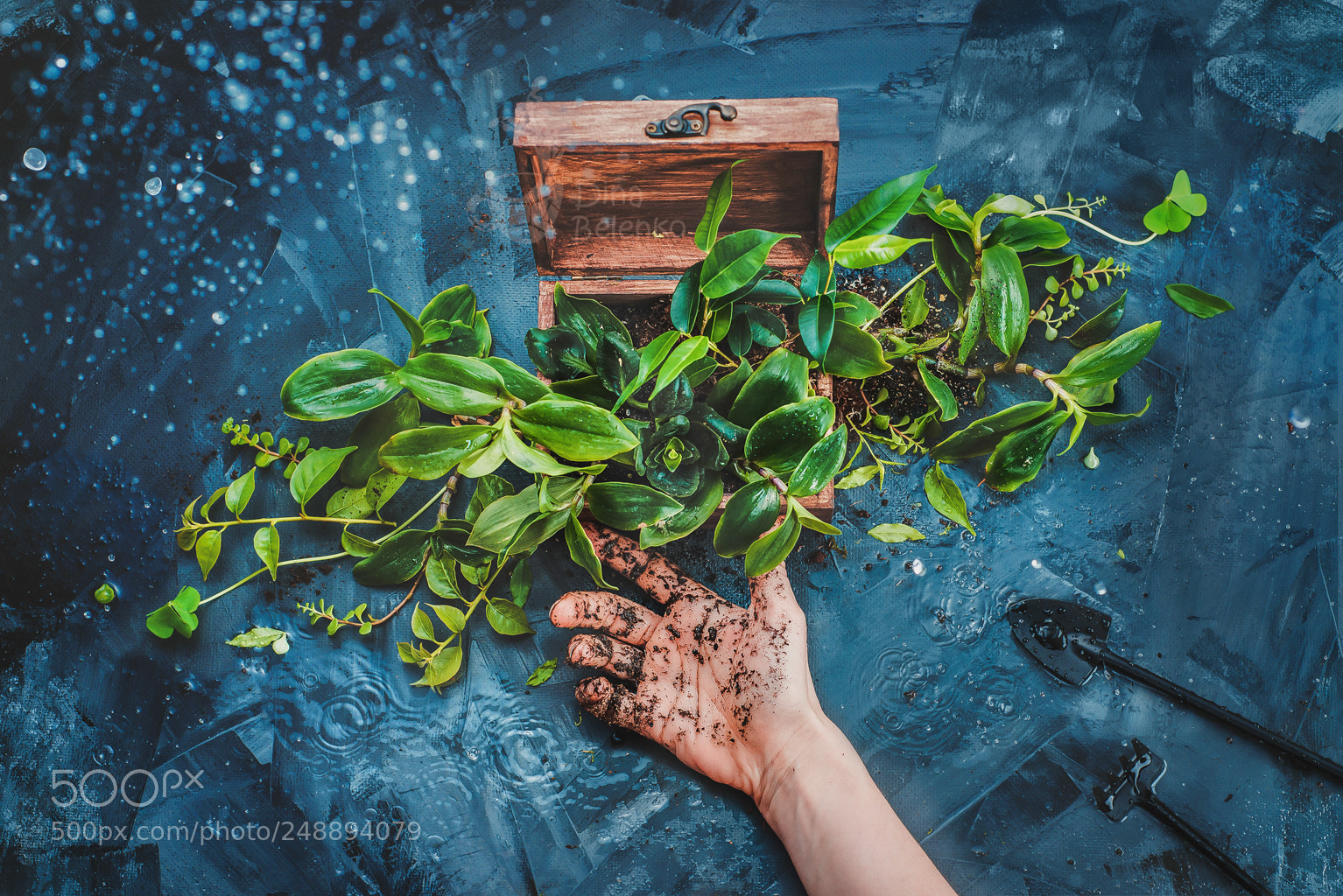 Nikon D800 sample photo. Box full of spring photography