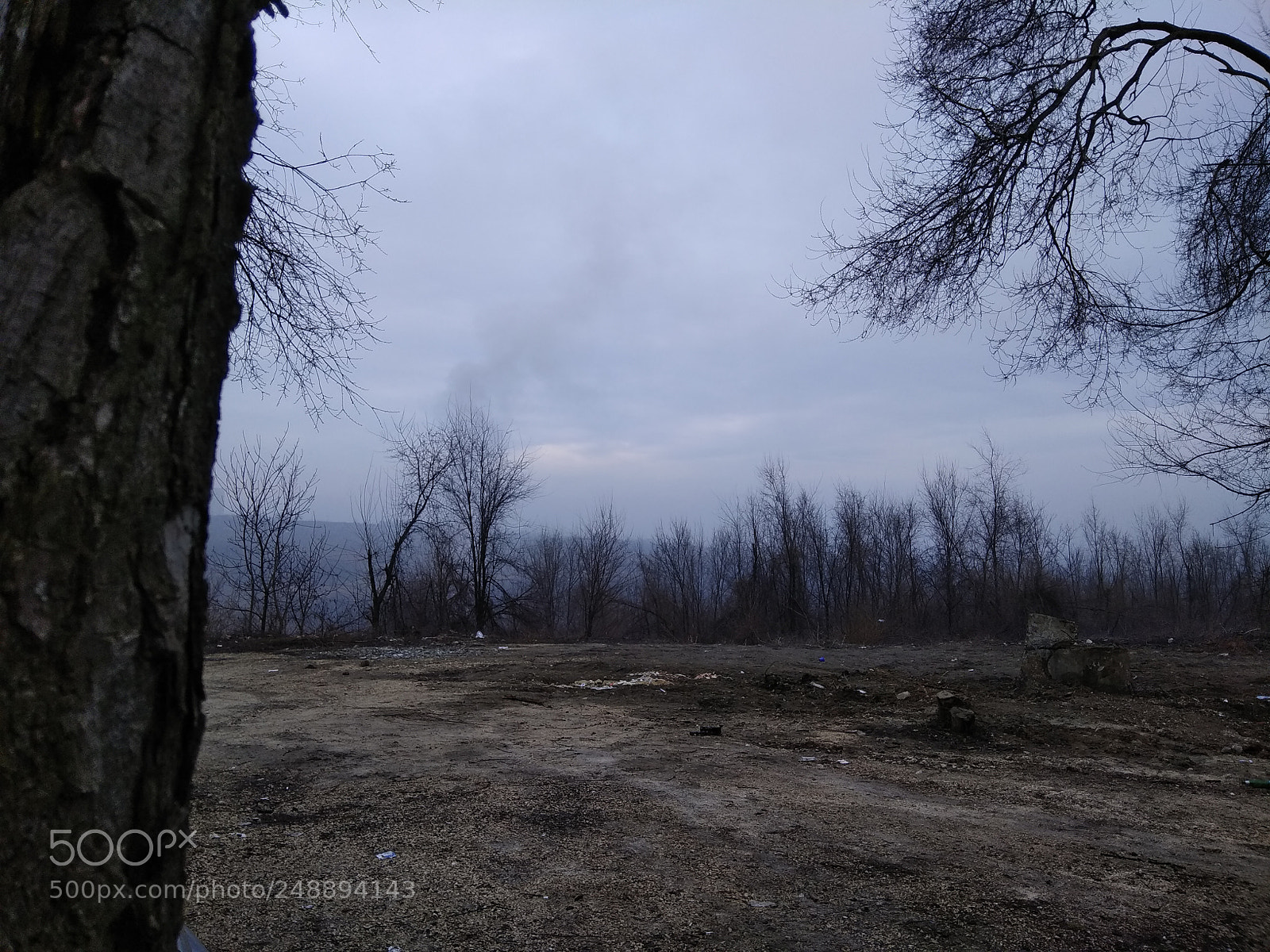 Xiaomi Redmi Note 4 sample photo. Untitled photography
