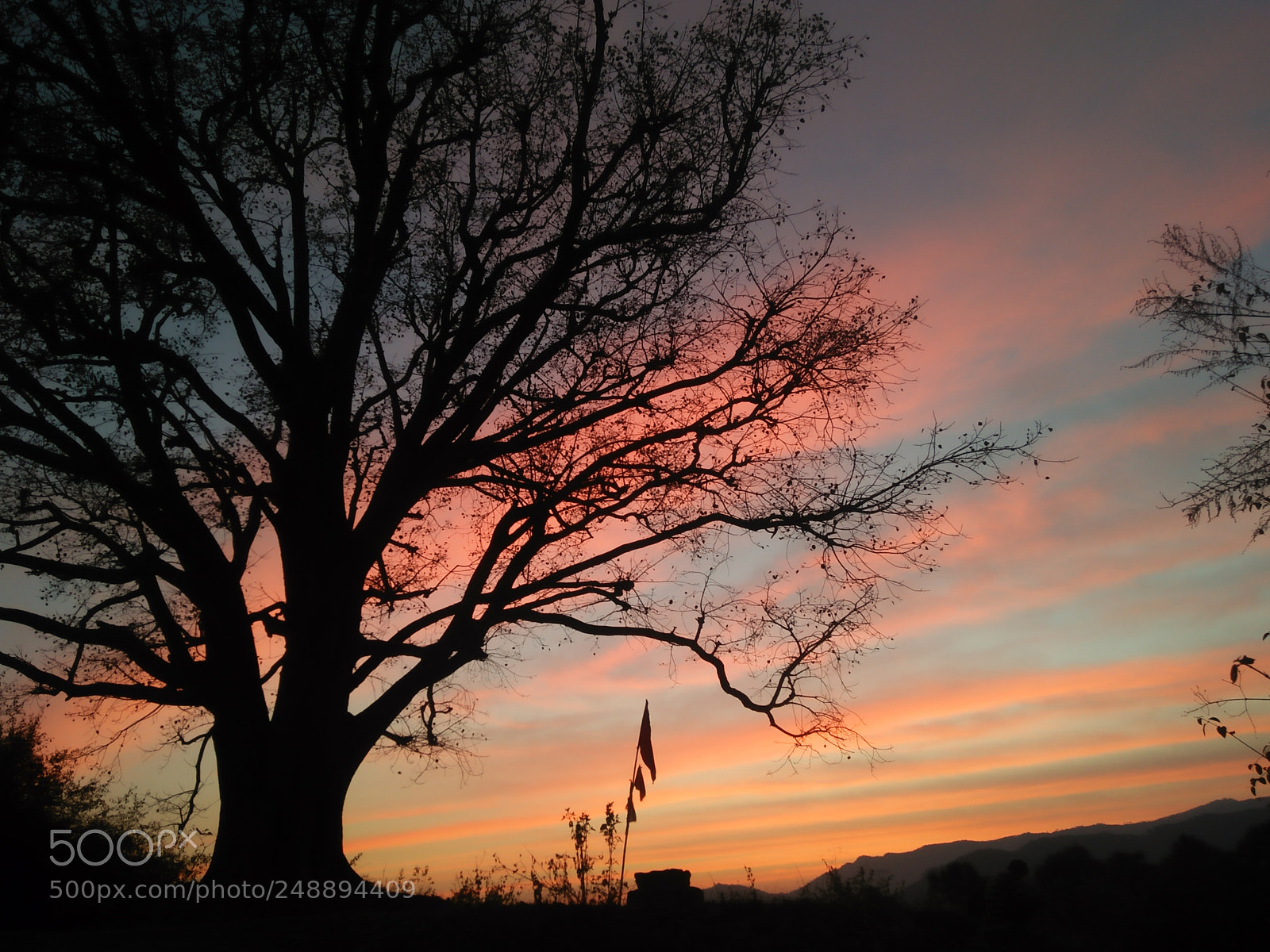 OPPO A37fw-International sample photo. Untitled photography