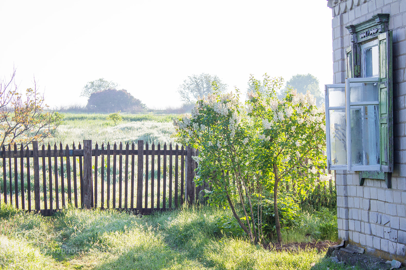 Canon EOS 600D (Rebel EOS T3i / EOS Kiss X5) sample photo. Morning photography