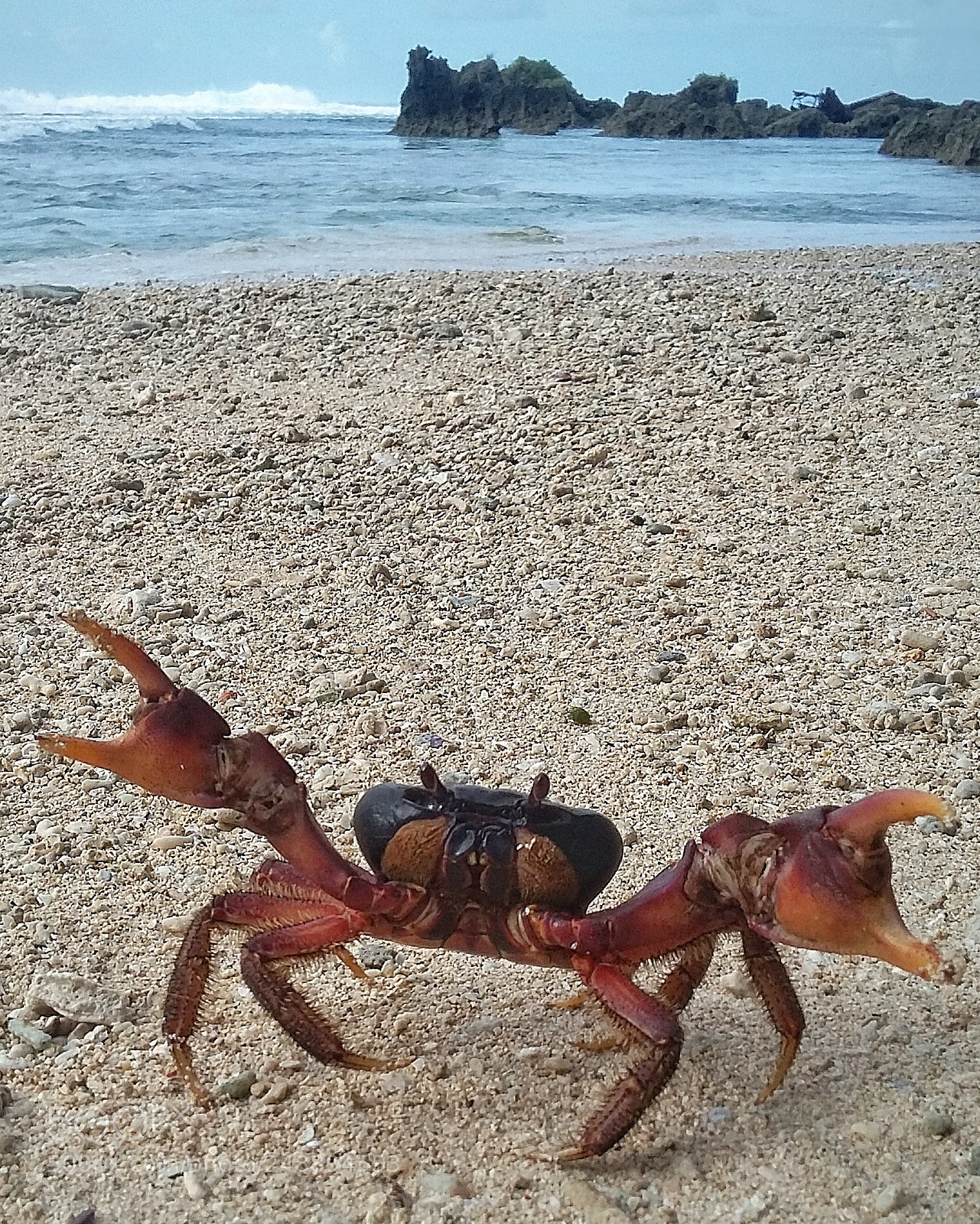 Samsung Galaxy Grand Prime sample photo. Escape photography