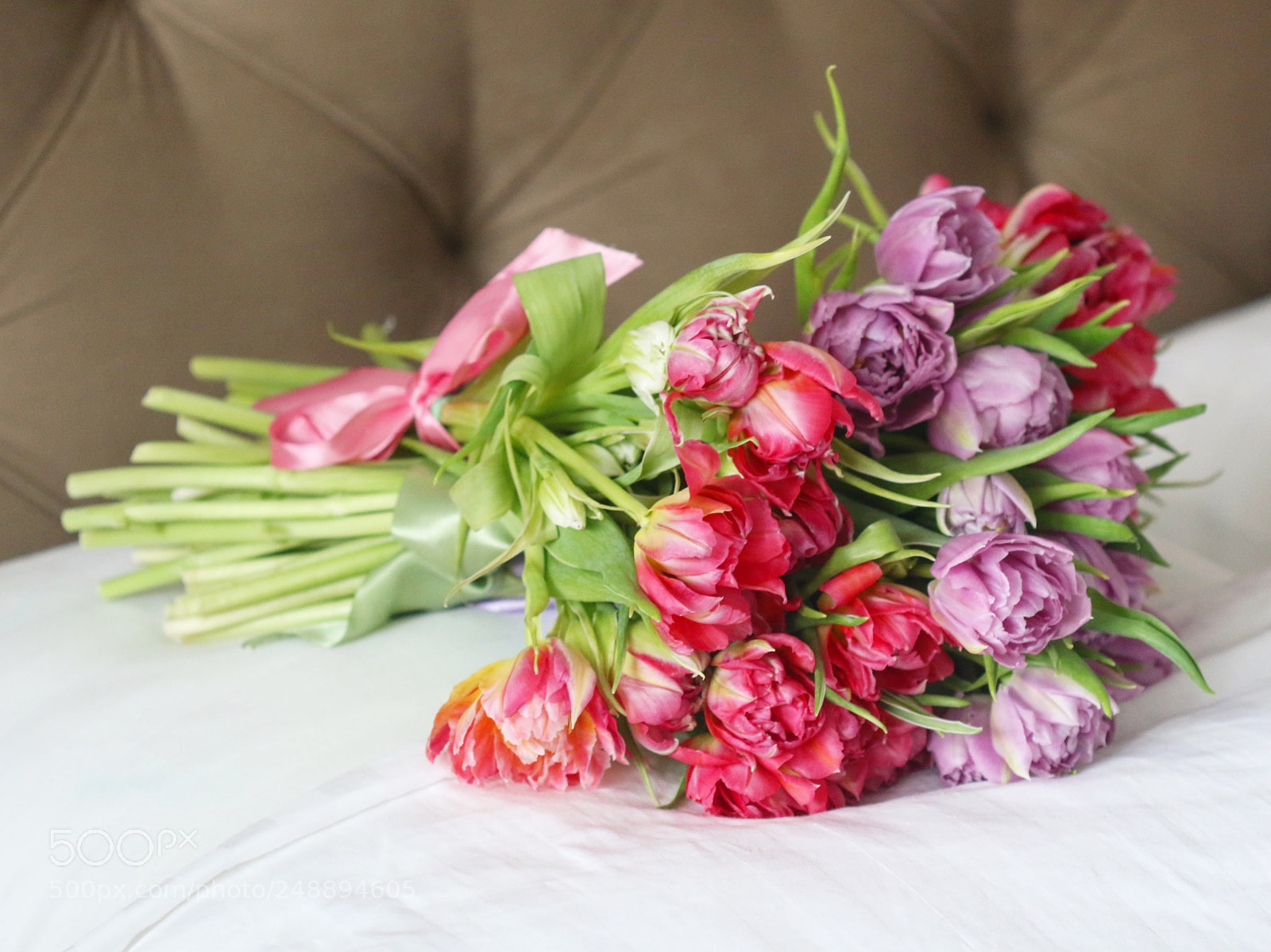 Canon EOS 7D Mark II sample photo. Untitled photography