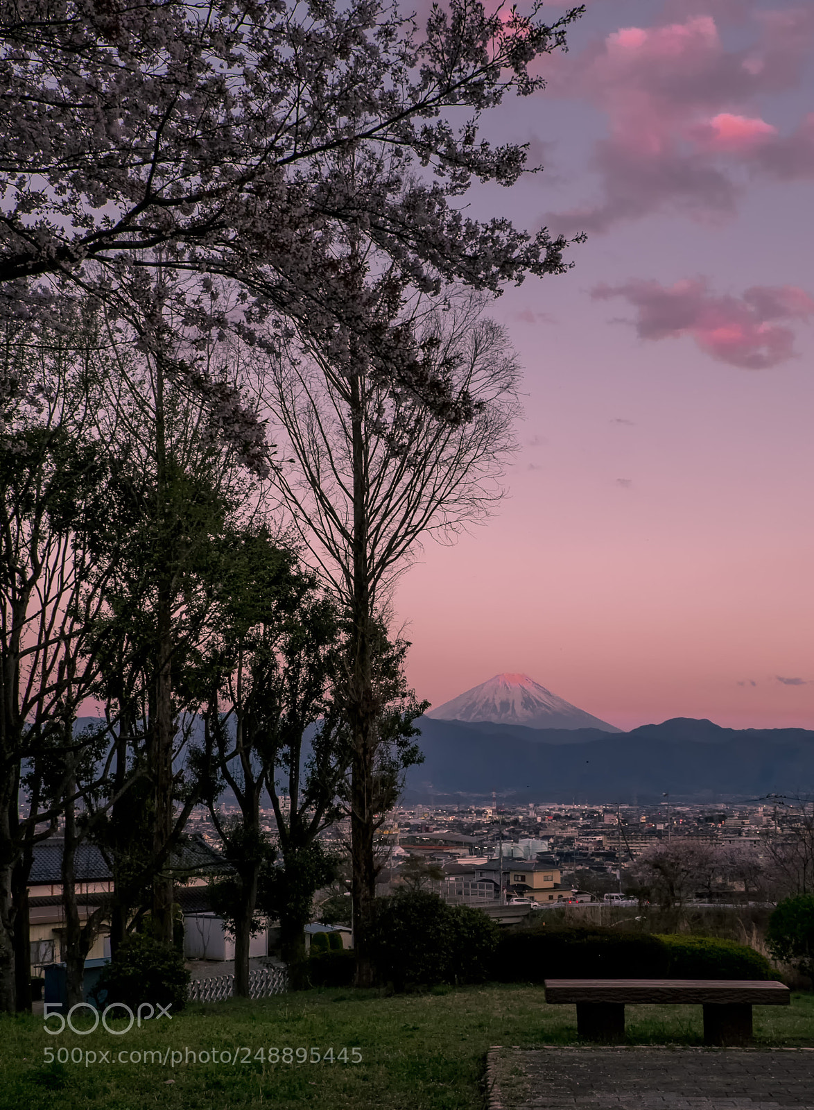 Fujifilm X-T1 sample photo. Magical moment photography