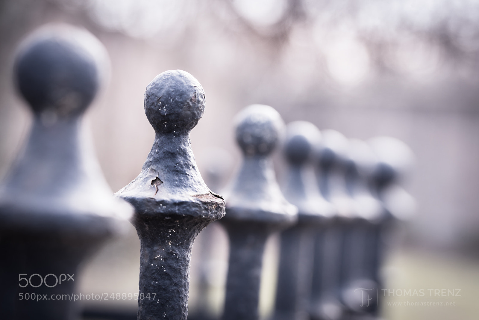 Nikon D600 sample photo. The special one photography