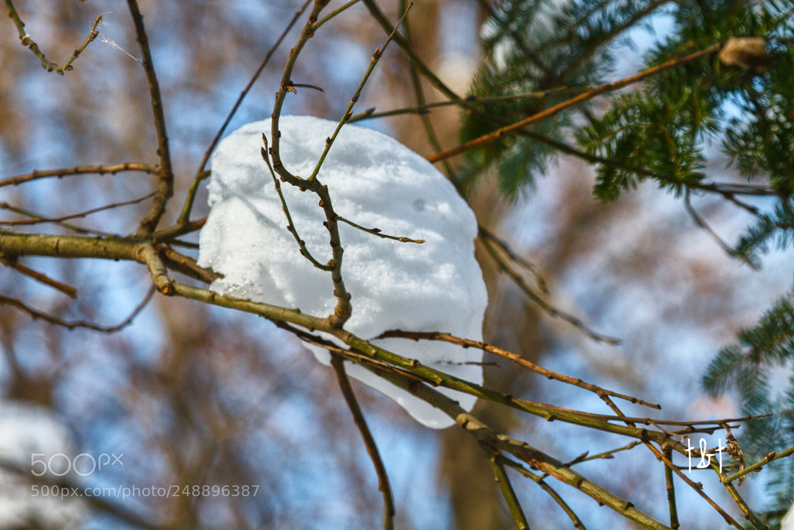 Canon EOS 7D sample photo. Untitled photography