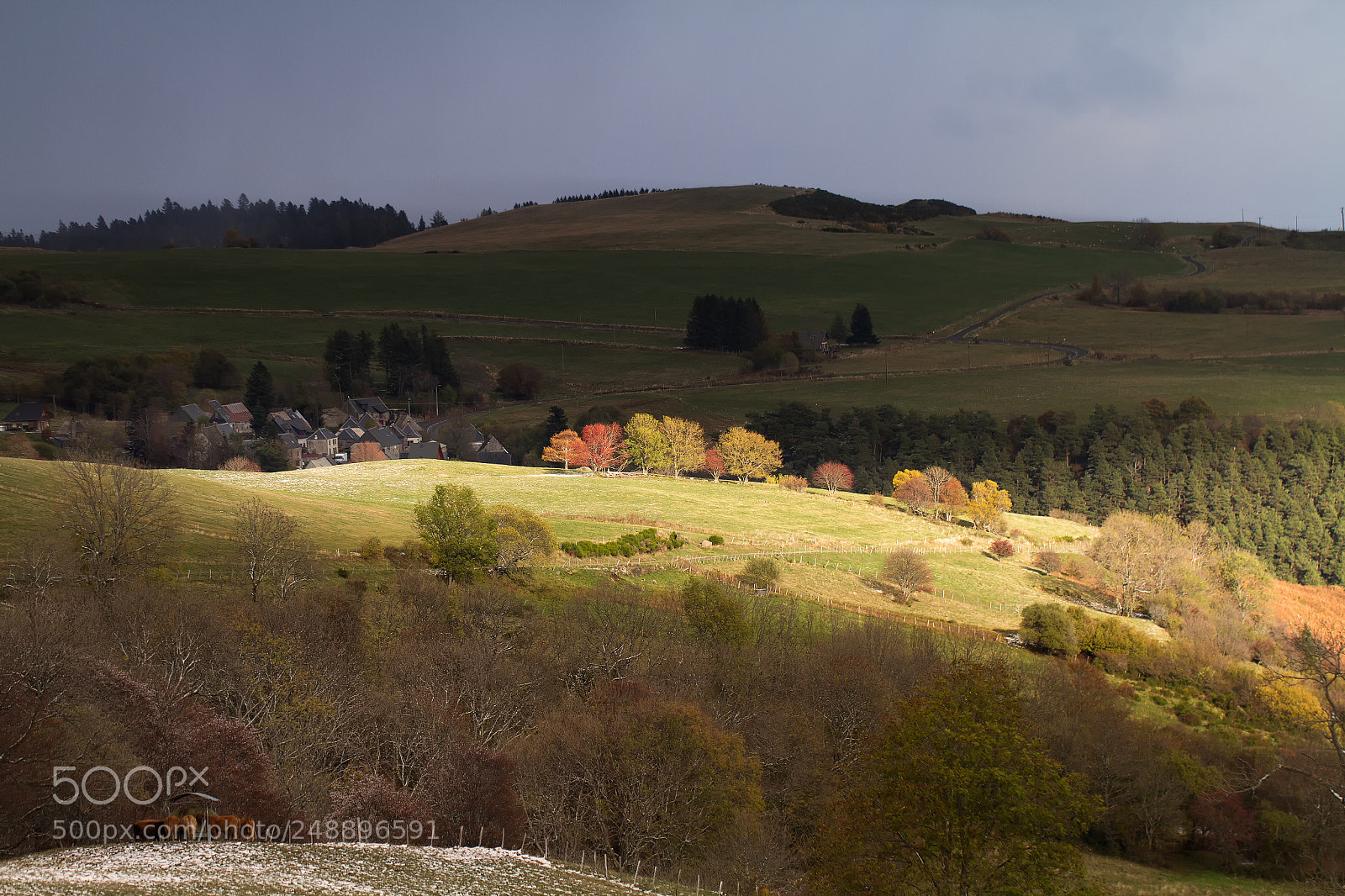 Canon EOS 7D sample photo. Mg photography