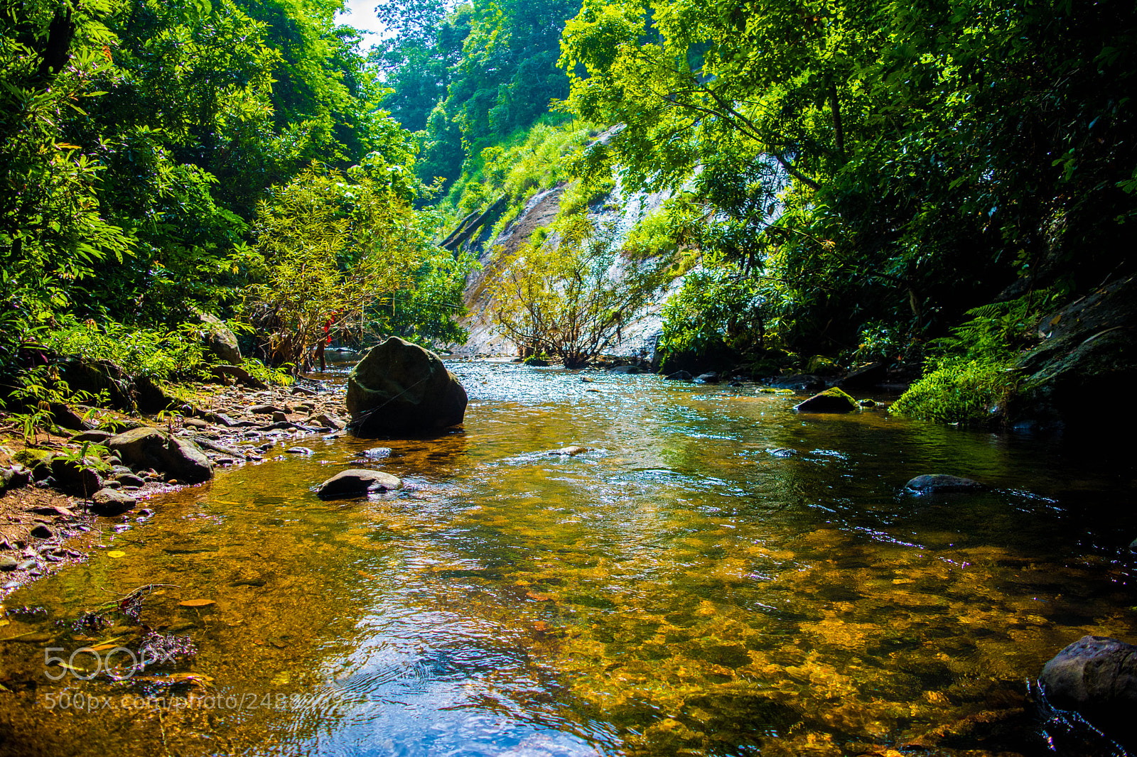 Nikon D5200 sample photo. An unexplored stream inside photography