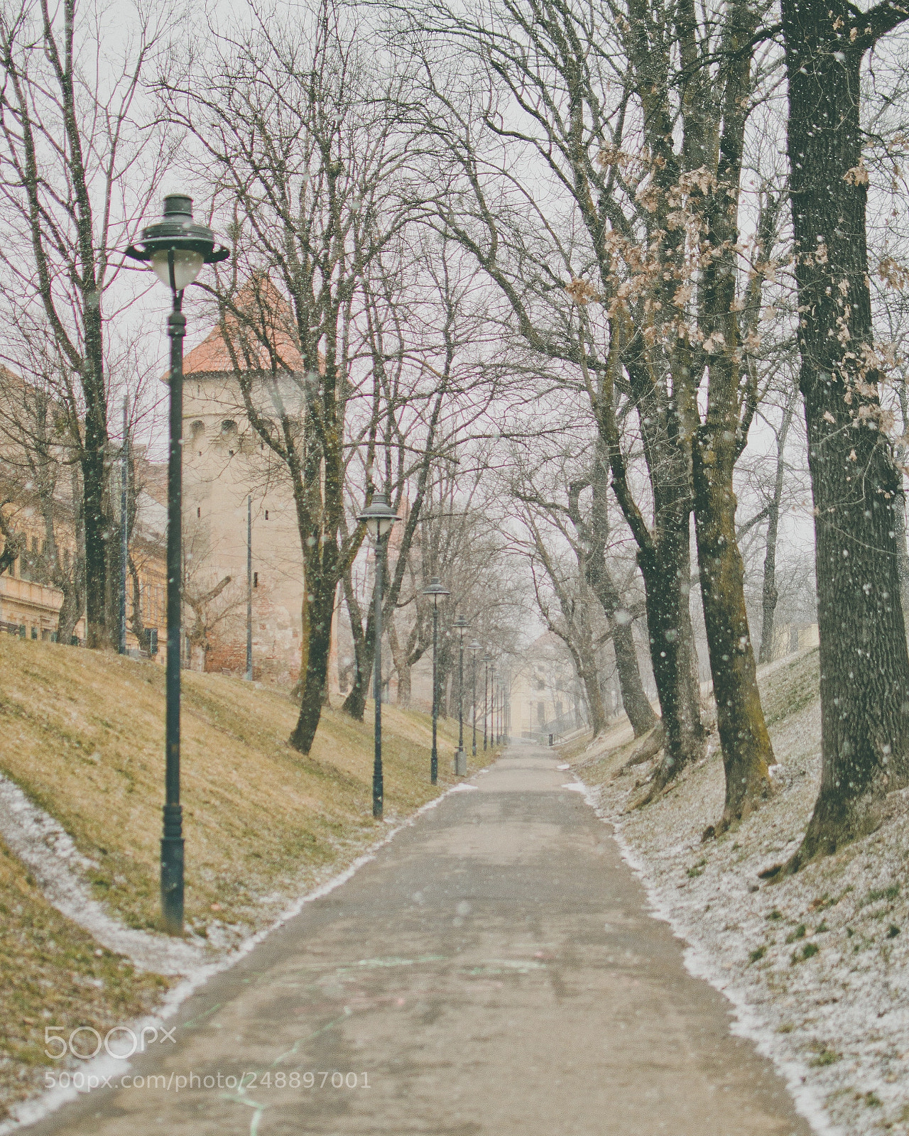 Nikon D3200 sample photo. Let it snow photography