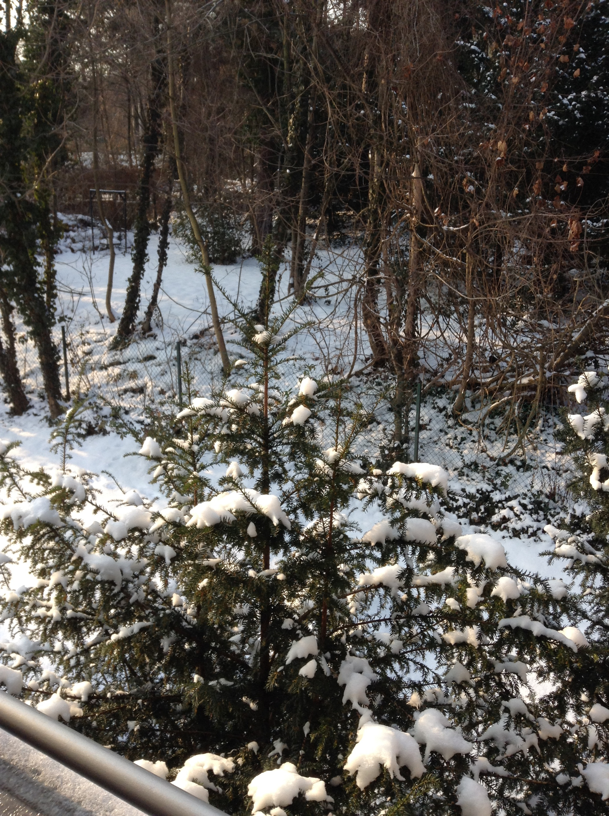 Apple iPad mini sample photo. Snow photography