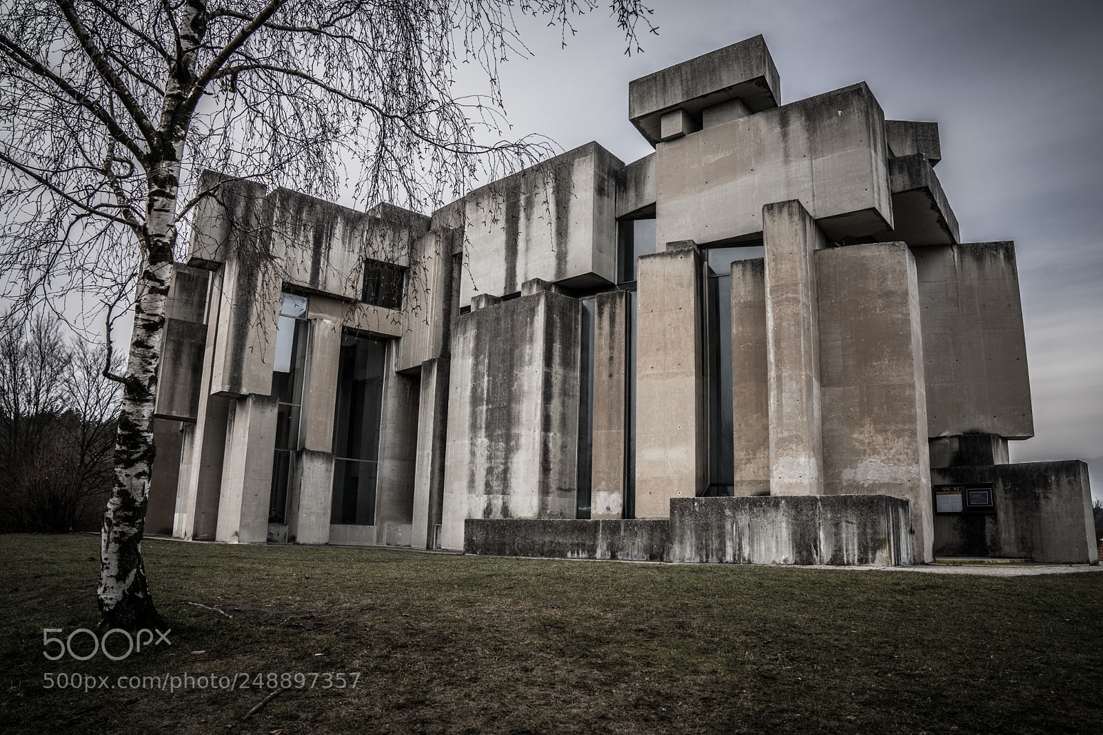 Sony a7 II sample photo. Dsc09121-17.jpg photography