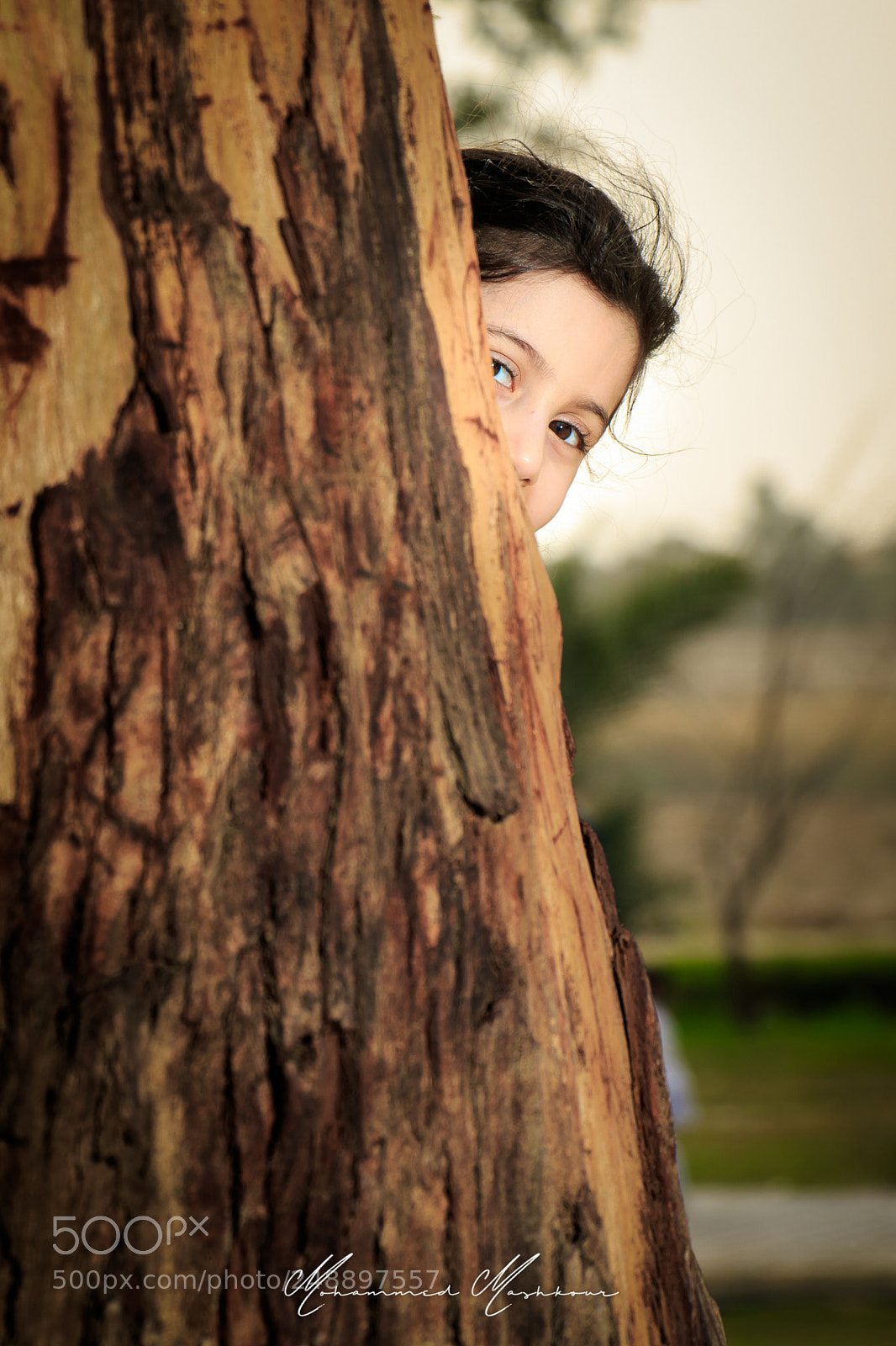 Canon EOS 7D Mark II sample photo. I catch you photography