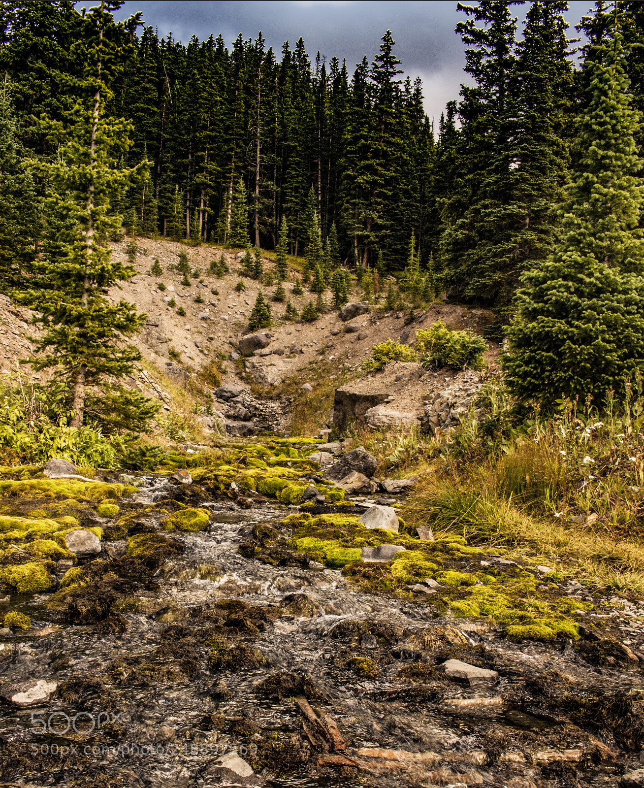 Canon EOS 700D (EOS Rebel T5i / EOS Kiss X7i) sample photo. Colorado creek photography