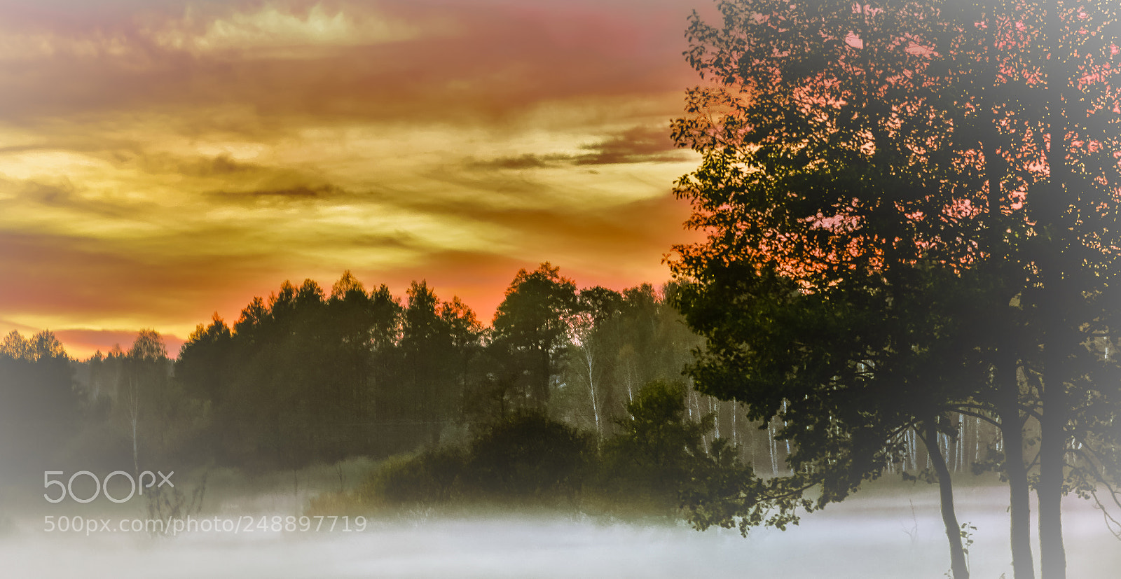 Nikon D5300 sample photo. Misty dusk photography
