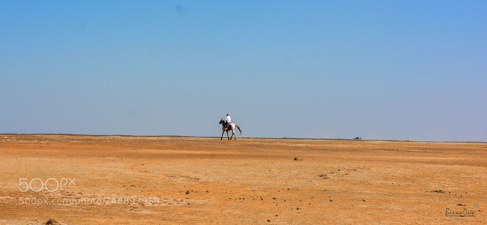 Nikon D5200 sample photo. Horse riding photography