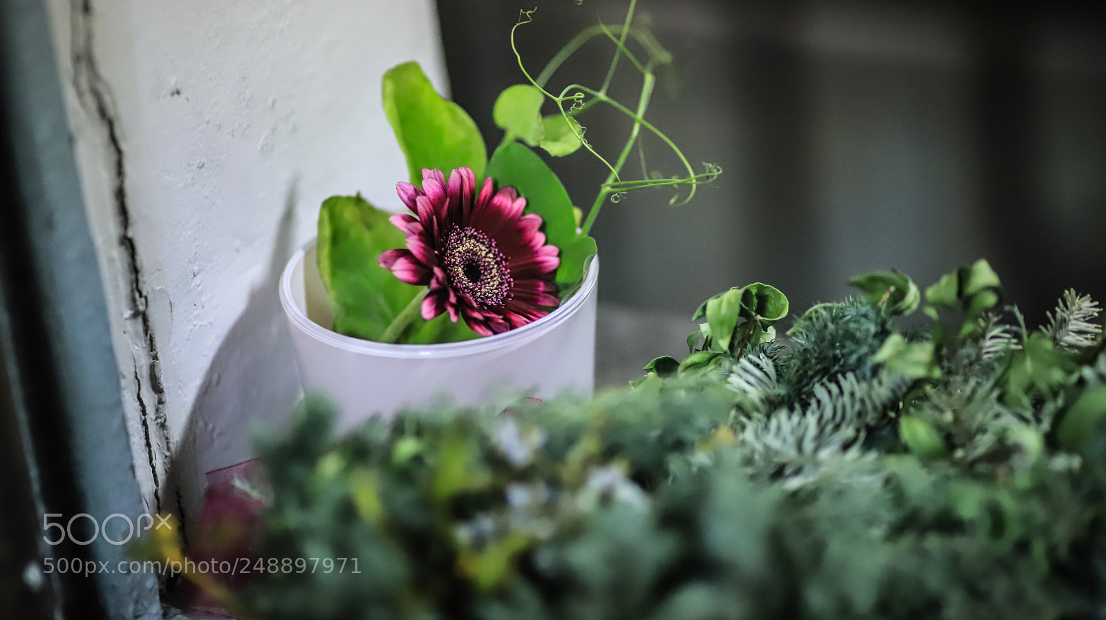 Canon EOS 6D Mark II sample photo. Img photography