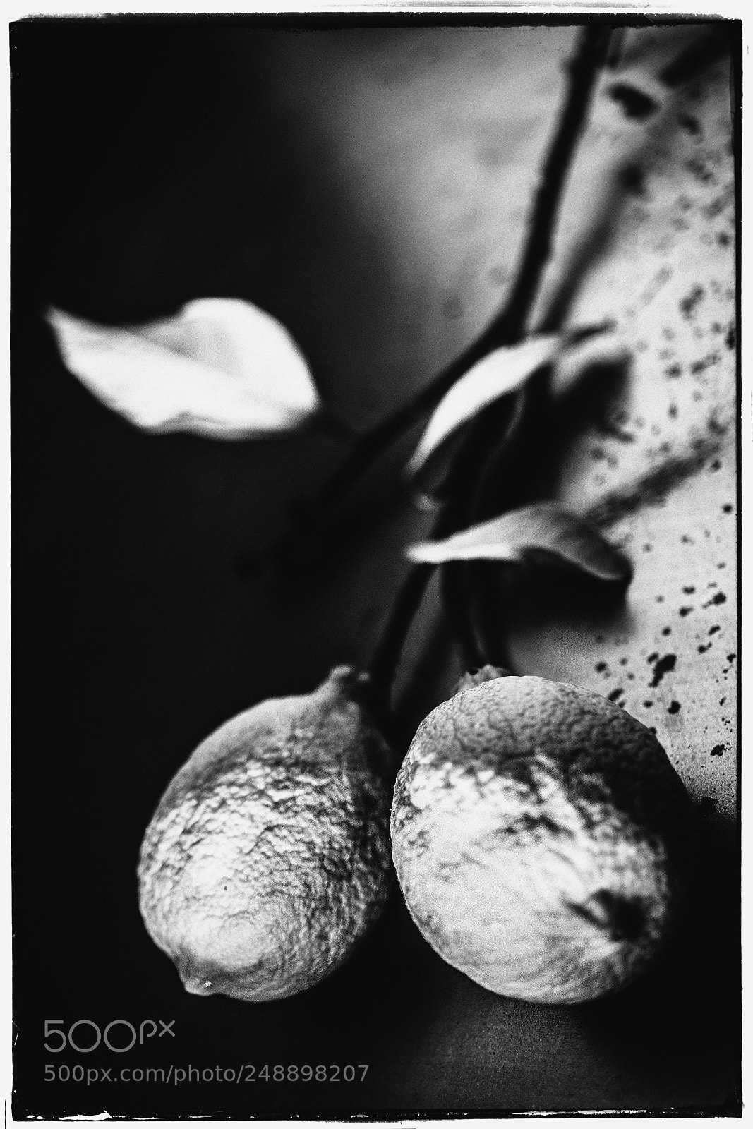 Sony a7 sample photo. Two lemons cinematic photography