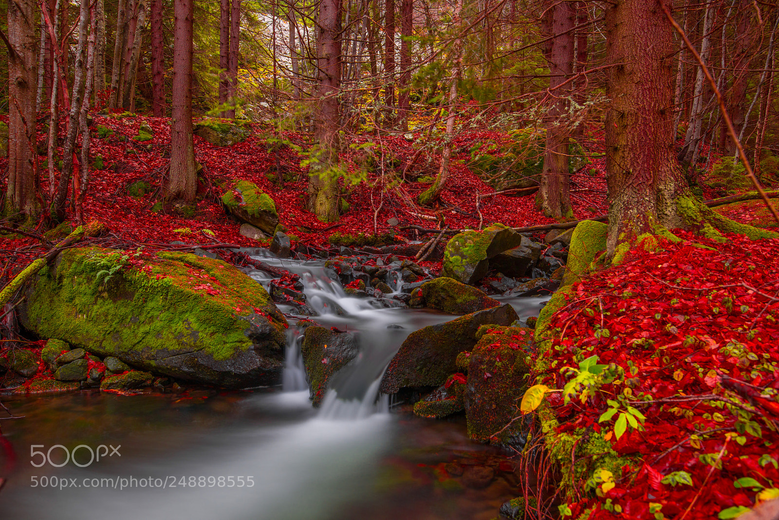 Nikon D810 sample photo. Magic waterfall photography