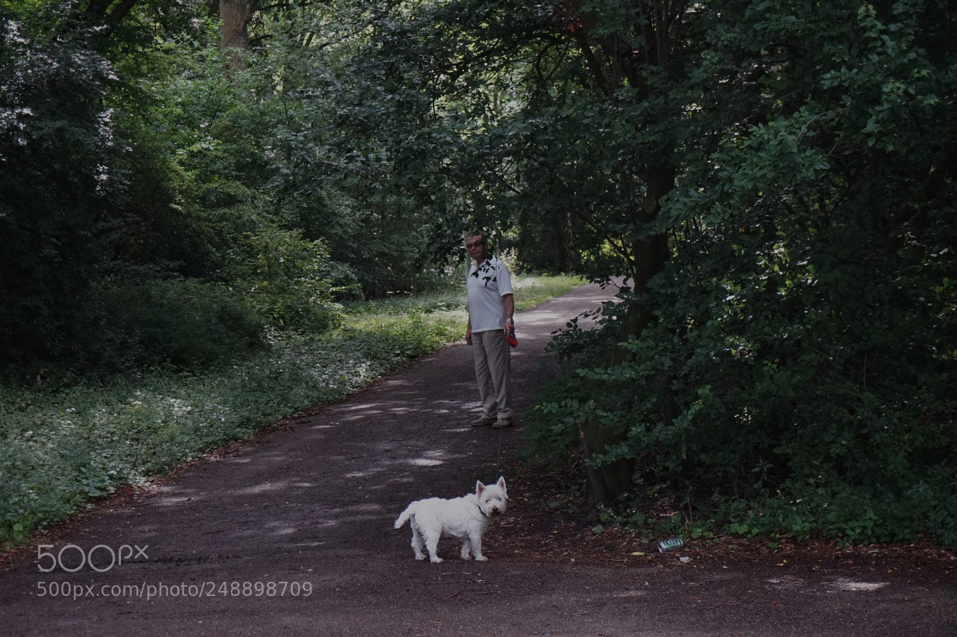 Sony Alpha a5000 (ILCE 5000) sample photo. Untitled photography