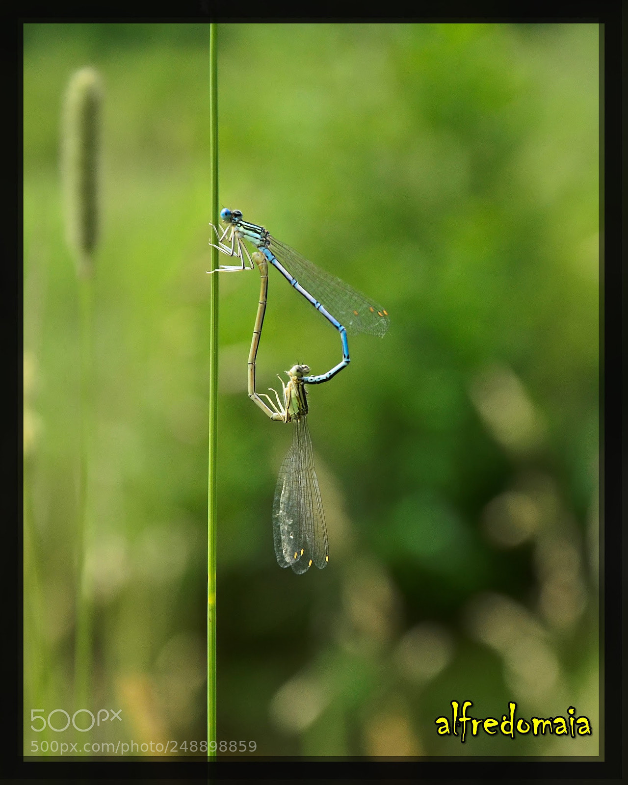 Nikon D5100 sample photo. Untitled photography